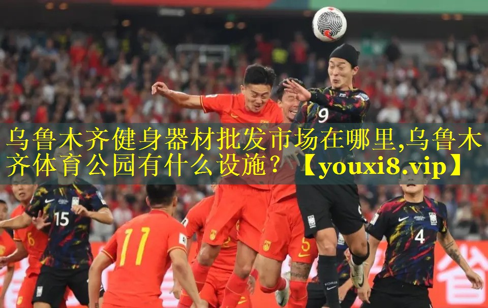 乌鲁木齐健身器材批发市场在哪里,乌鲁木齐体育公园有什么设施？