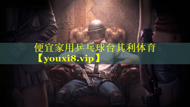 便宜家用乒乓球台其利体育