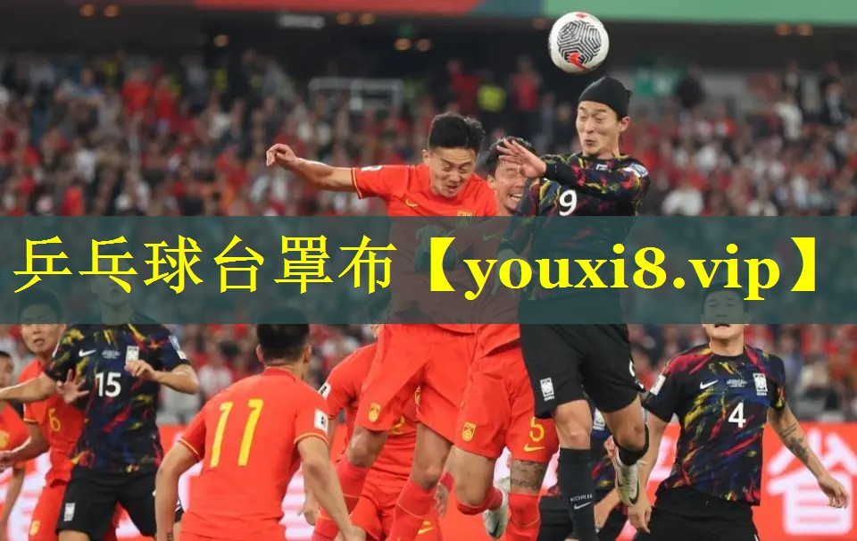 乒乓球台罩布