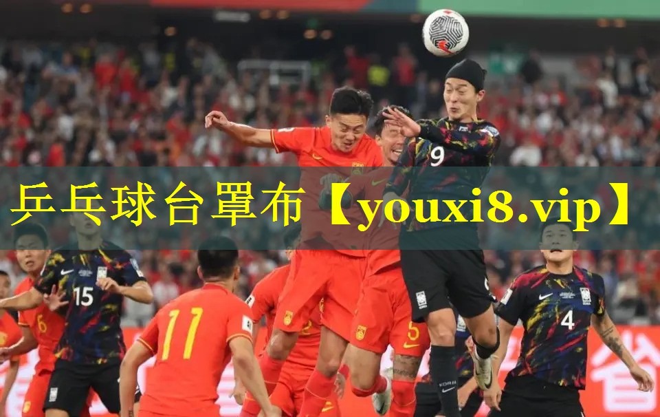 乒乓球台罩布